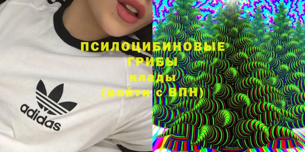 мяу мяу мука Магадан