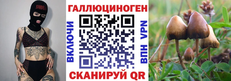Галлюциногенные грибы мицелий  Усть-Джегута 