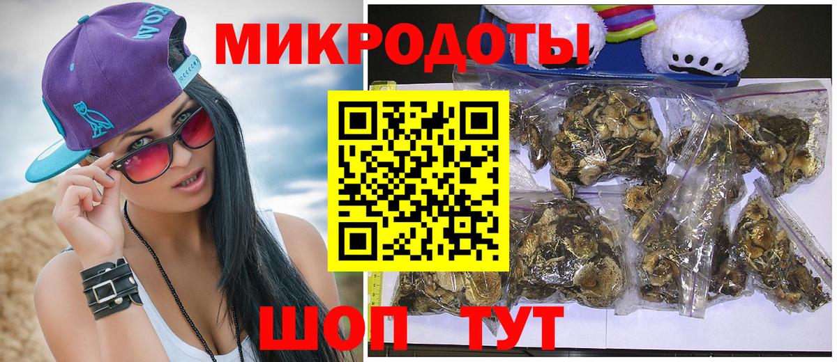 Псилоцибиновые грибы Cubensis  Вход с VPN  Усть-Джегута 
