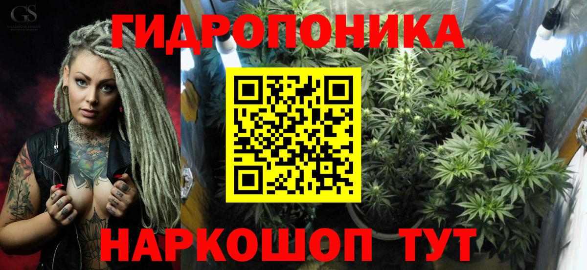 Усть-Джегута  Бошки Шишки конопля  Шишки марихуана Amnesia  Вход с VPN  Марихуана Bruce Banner 